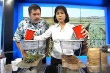 Koon-Hui Wang demonstrates how to know soil health